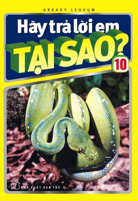 Hãy Trả Lời Em Tại Sao? - Tập 10