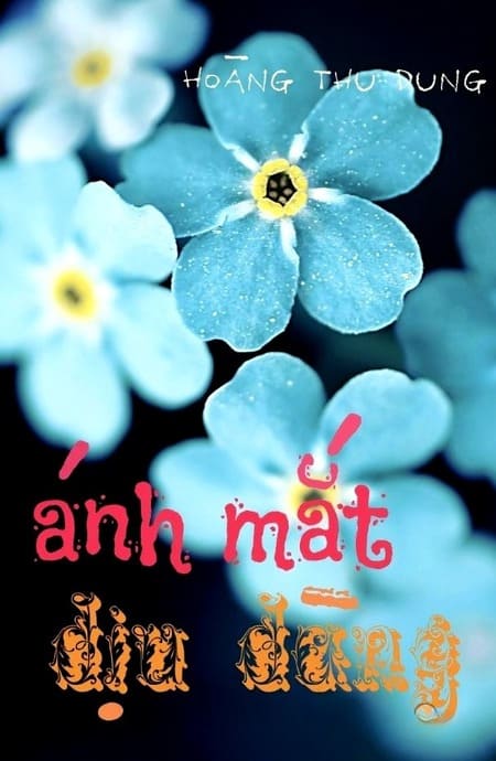 Ánh Mắt Dịu Dàng
