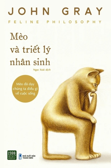 Mèo Và Triết Lý Nhân Sinh