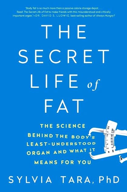 The Secret Life Of Fat