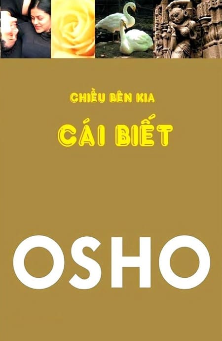 Chiều Bên Kia Cái Biết