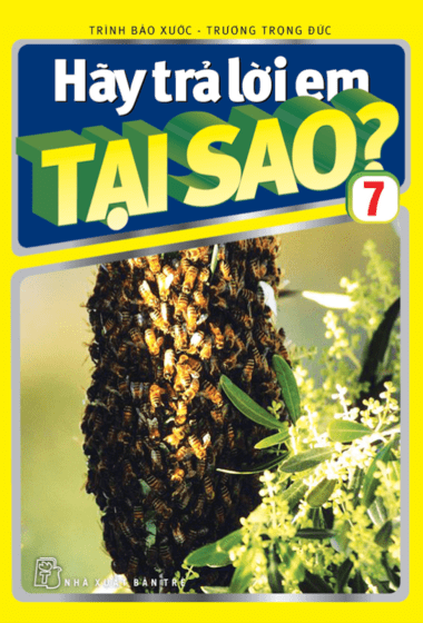 Hãy Trả Lời Em Tại Sao? - Tập 7